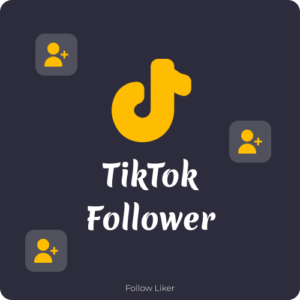 Tiktok-follower kaufen